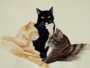 Poster / Fine Art Print